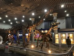 -国家自然博物馆