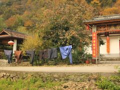 -秦岭风景区