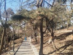 -观象山公园