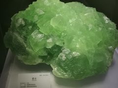 -湖南省地质博物馆