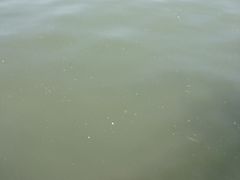 -西湖游船