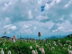 -终南山国家森林公园