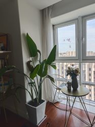 -演员的秘密·皮肤管理