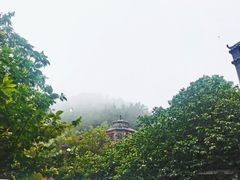 -老张烤羊(王哥庄店)