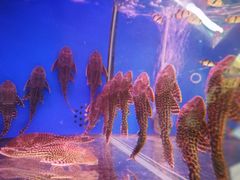 -大润发(王庄店)