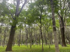 -东郊湿地公园