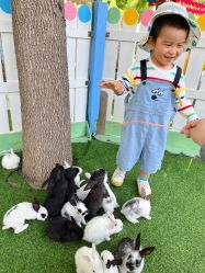 -萌宠亲子动物乐园(槐房万达店)