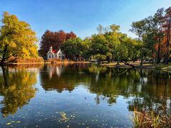 -上海共青森林公园