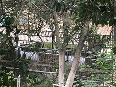 -攀枝花公园