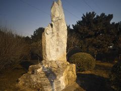 -云岗森林公园