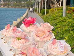 -可丽可丽·生日蛋糕·下午茶(厦门鹭港店)