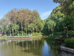 -上海鲜花港