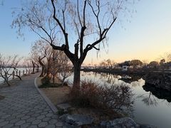 -无锡蠡湖国家湿地公园-蠡园