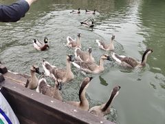 -长鹿旅游休博园