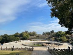 -东山风动石景区