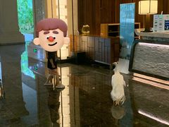 -西双版纳融创皇冠假日度假酒店