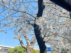 -南浦大桥长途旅游客运站