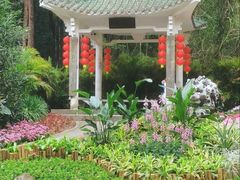 -广州市白云山风景名胜区