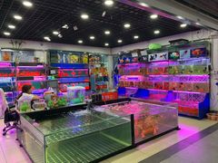 -苏州艺都古玩花鸟市场