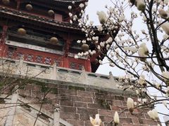 -兰庆鸡蛋馃(人民路店)