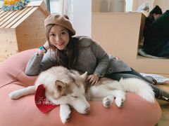 -Husky Go! 哈士奇体验馆·宠物咖啡厅狗咖