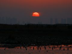 -天津妈祖文化园