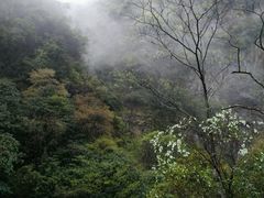 -白云源风景区