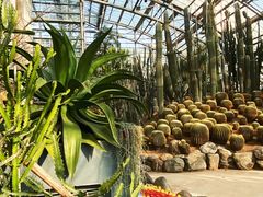 -南山植物园