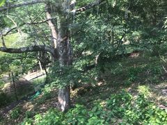 -比叡山