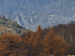 -灵山