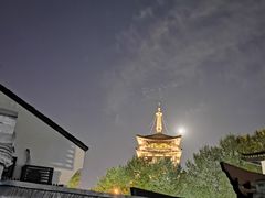 -孙奶奶葱包桧