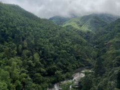 -萍乡武功山风景名胜区