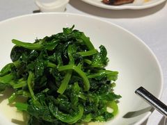 五粮液嫩豆苗-玫瑰厅上海菜(兴国路店)