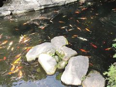-青青世界