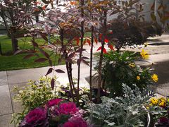 -无锡市市民中心