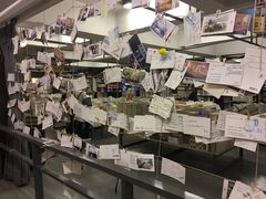 店内环境-先锋书店(五台山总店)