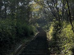 -桃花岭景区