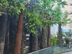 -安徽省地质博物馆