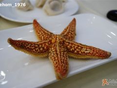 海星-海岛渔村大酒店(云霄路店)