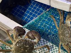 -黄记大闸蟹专卖店·活蟹·醉蟹