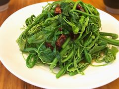 -云里小坐·小院里·团建·宴请·下午茶(三圣乡店)