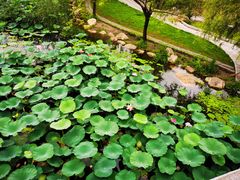 -长春市南湖公园