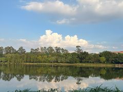 -南国桃园旅游度假区