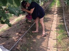 -马陆小张葡萄园农家乐