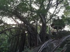 -乌山风景区