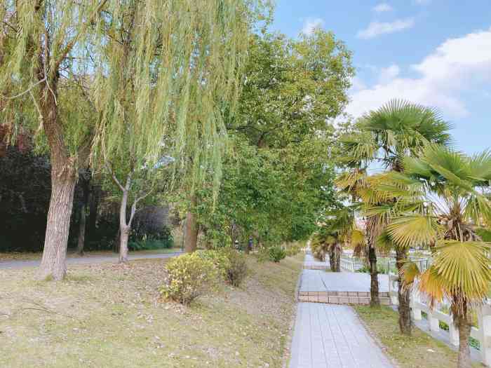 普陀体育公园-"这个公园环境挺好的,早晚散步晨跑的人非常.