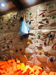 -泡泡米POPOME益智乐园(洪殿花园旗舰店)