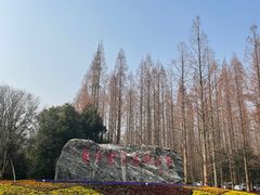 -东平国家森林公园