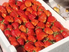 -西郊国际农产品交易中心