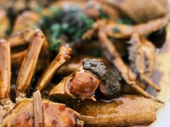 毛蟹年糕-春餐厅